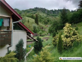 urgent-vila-3-camere-cu-teren-de-7000-mp-de-vanzare-in-dambovicioara-oportunitate-excelenta-pentru-investitie-1