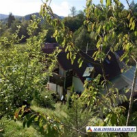 urgent-vila-3-camere-cu-teren-de-7000-mp-de-vanzare-in-dambovicioara-oportunitate-excelenta-pentru-investitie-3