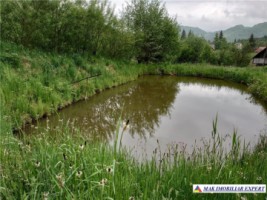 urgent-vila-3-camere-cu-teren-de-7000-mp-de-vanzare-in-dambovicioara-oportunitate-excelenta-pentru-investitie-5