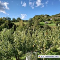 urgent-vila-3-camere-cu-teren-de-7000-mp-de-vanzare-in-dambovicioara-oportunitate-excelenta-pentru-investitie-7