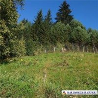 urgent-vila-3-camere-cu-teren-de-7000-mp-de-vanzare-in-dambovicioara-oportunitate-excelenta-pentru-investitie-6