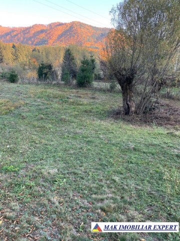 teren-intravilan-5000-mp-de-vanzare-in-nucsoara-arges-ideal-pentru-dezvoltare-rezidentiala-sau-agroturism-4