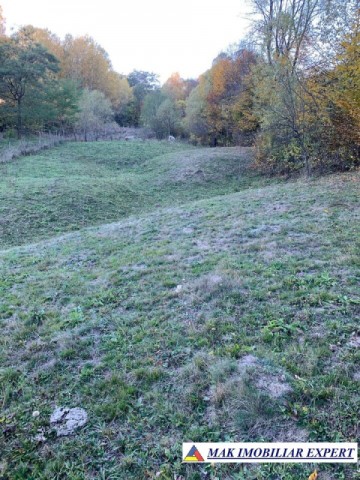 teren-intravilan-5000-mp-de-vanzare-in-nucsoara-arges-ideal-pentru-dezvoltare-rezidentiala-sau-agroturism-9