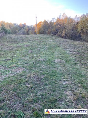 teren-intravilan-5000-mp-de-vanzare-in-nucsoara-arges-ideal-pentru-dezvoltare-rezidentiala-sau-agroturism-10