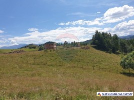 teren-intravilan-de-3160-mp-de-vanzare-in-dambovicioara-ciocanu-arges-1
