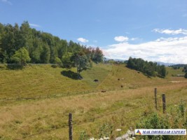teren-intravilan-de-3160-mp-de-vanzare-in-dambovicioara-ciocanu-arges-2