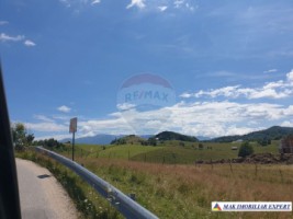 teren-intravilan-de-3160-mp-de-vanzare-in-dambovicioara-ciocanu-arges-3