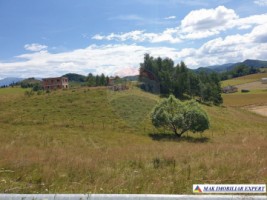 teren-intravilan-de-3160-mp-de-vanzare-in-dambovicioara-ciocanu-arges-6