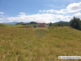 teren-intravilan-de-3160-mp-de-vanzare-in-dambovicioara-ciocanu-arges-7