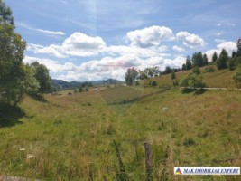 teren-intravilan-de-3160-mp-de-vanzare-in-dambovicioara-ciocanu-arges-8