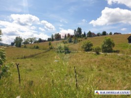teren-intravilan-de-3160-mp-de-vanzare-in-dambovicioara-ciocanu-arges-9