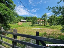 casa-2-camere-teren-8915-mp-de-vanzare-in-bradulet-galesu-arges-4