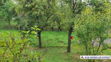 casa-2-camere-teren-8915-mp-de-vanzare-in-bradulet-galesu-arges-5