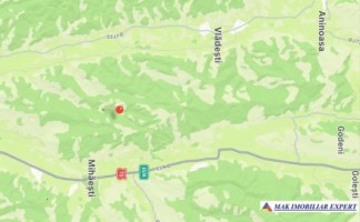 padure-mixta-de-64-ha-in-mihaesti-arges-oportunitate-unica-de-investitie-3