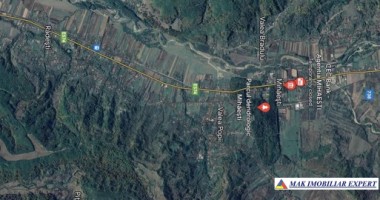 padure-mixta-de-64-ha-in-mihaesti-arges-oportunitate-unica-de-investitie-2
