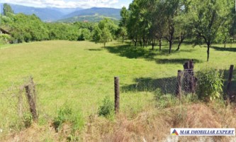 vand-teren-intravilan-9000-mp-cretisoara-campulung-muscel-arges-1