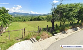 vand-teren-intravilan-9000-mp-cretisoara-campulung-muscel-arges