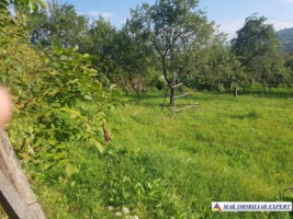teren-intravilan-1200-mp-de-vanzare-in-corbi-arges-ideal-pentru-constructii-rezidentiale-5