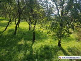 teren-intravilan-1200-mp-de-vanzare-in-corbi-arges-ideal-pentru-constructii-rezidentiale-10