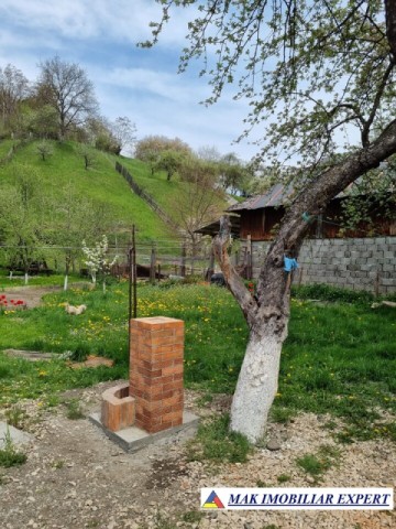 dec-2025-vila-4-camere-teren-1200-mp-rucar-18