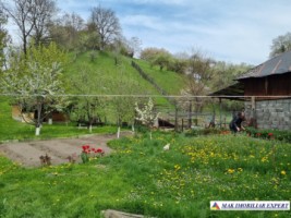 dec-2025-vila-4-camere-teren-1200-mp-rucar-20