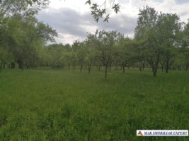 teren-2500-mp-intravilan-corbi-1
