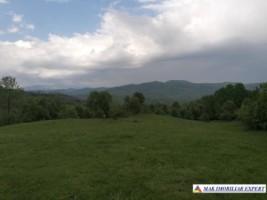 teren-2500-mp-intravilan-corbi