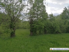 teren-2500-mp-intravilan-corbi-4