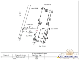 teren-8833-central-saru-mare-sm