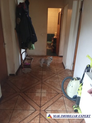 vila-3-camere-teren-1000-mp-de-vanzare-in-belciugatele-calarasi-ideala-pentru-locuinta-de-familie-10