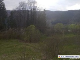 teren-intravilan-117-ha-de-vanzare-in-dragoslavele-arges-ideal-pentru-dezvoltari-rezidentiale-sau-turistice
