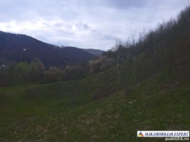 teren-intravilan-117-ha-de-vanzare-in-dragoslavele-arges-ideal-pentru-dezvoltari-rezidentiale-sau-turistice-1
