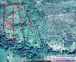 teren-extravilan-de-1-ha-si-4000-mp-ideal-pentru-pomicultura-sau-proiecte-rezidentiale-situat-in-valea-mare-pravat-arges-8
