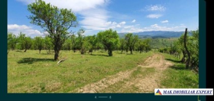 teren-extravilan-de-1-ha-si-4000-mp-ideal-pentru-pomicultura-sau-proiecte-rezidentiale-situat-in-valea-mare-pravat-arges