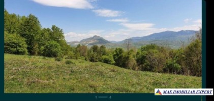 teren-extravilan-de-1-ha-si-4000-mp-ideal-pentru-pomicultura-sau-proiecte-rezidentiale-situat-in-valea-mare-pravat-arges-1