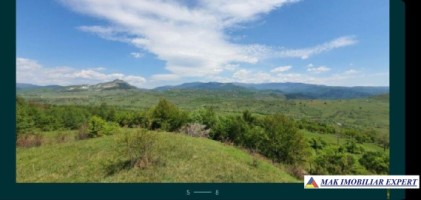 teren-extravilan-de-1-ha-si-4000-mp-ideal-pentru-pomicultura-sau-proiecte-rezidentiale-situat-in-valea-mare-pravat-arges-2