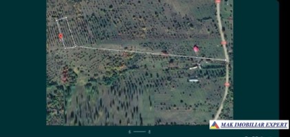 teren-extravilan-de-1-ha-si-4000-mp-ideal-pentru-pomicultura-sau-proiecte-rezidentiale-situat-in-valea-mare-pravat-arges-9