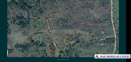 teren-extravilan-de-1-ha-si-4000-mp-ideal-pentru-pomicultura-sau-proiecte-rezidentiale-situat-in-valea-mare-pravat-arges-10