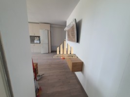 apartament-cu-2-camere-de-inchiriat-alba-micesti-2