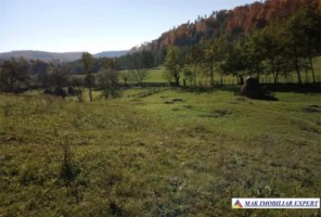 teren-6000-mp-intravilan-albestii-de-muscel-candesti