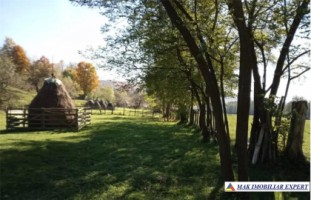 teren-6000-mp-intravilan-albestii-de-muscel-candesti-6