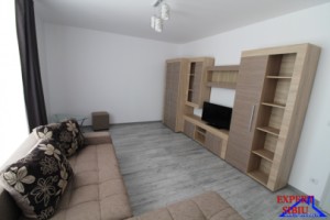 inchiriez-apartament-2-camere-decomandatrenovat-zona-lacul-lui-binder-2