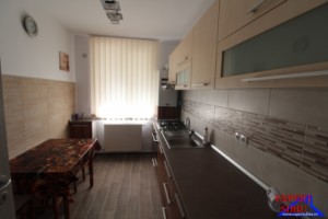 inchiriez-apartament-2-camere-decomandatrenovat-zona-lacul-lui-binder-6