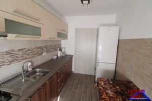inchiriez-apartament-2-camere-decomandatrenovat-zona-lacul-lui-binder-5