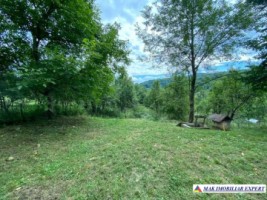 vizionare-de-paste-casa-de-vacanta-2-camere-teren-1000-mp-de-vanzare-in-bughea-de-jos-arges-7