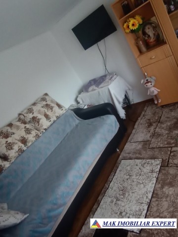 casa-musceleana-3-camere-cu-teren-1250-mp-de-vanzare-in-apa-sarata-campulung-muscel-arges-2