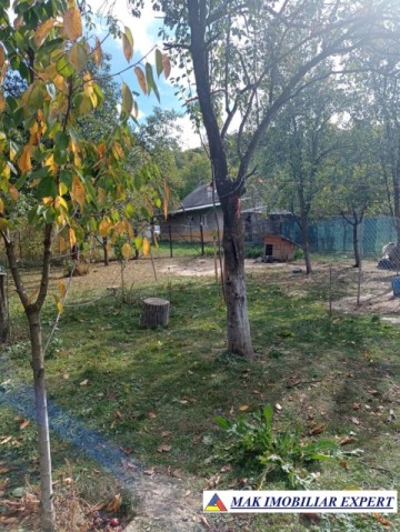 casa-musceleana-3-camere-cu-teren-1250-mp-de-vanzare-in-apa-sarata-campulung-muscel-arges-9