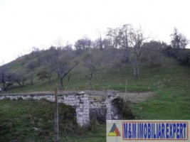 teren-intravilan-4614-mp-de-vanzare-in-valea-romanestilor-campulung-muscel-arges-22