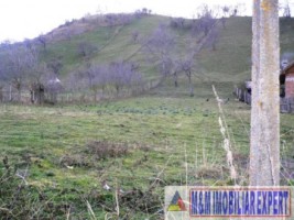 teren-intravilan-4614-mp-de-vanzare-in-valea-romanestilor-campulung-muscel-arges-3