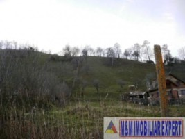 teren-intravilan-4614-mp-de-vanzare-in-valea-romanestilor-campulung-muscel-arges-5
